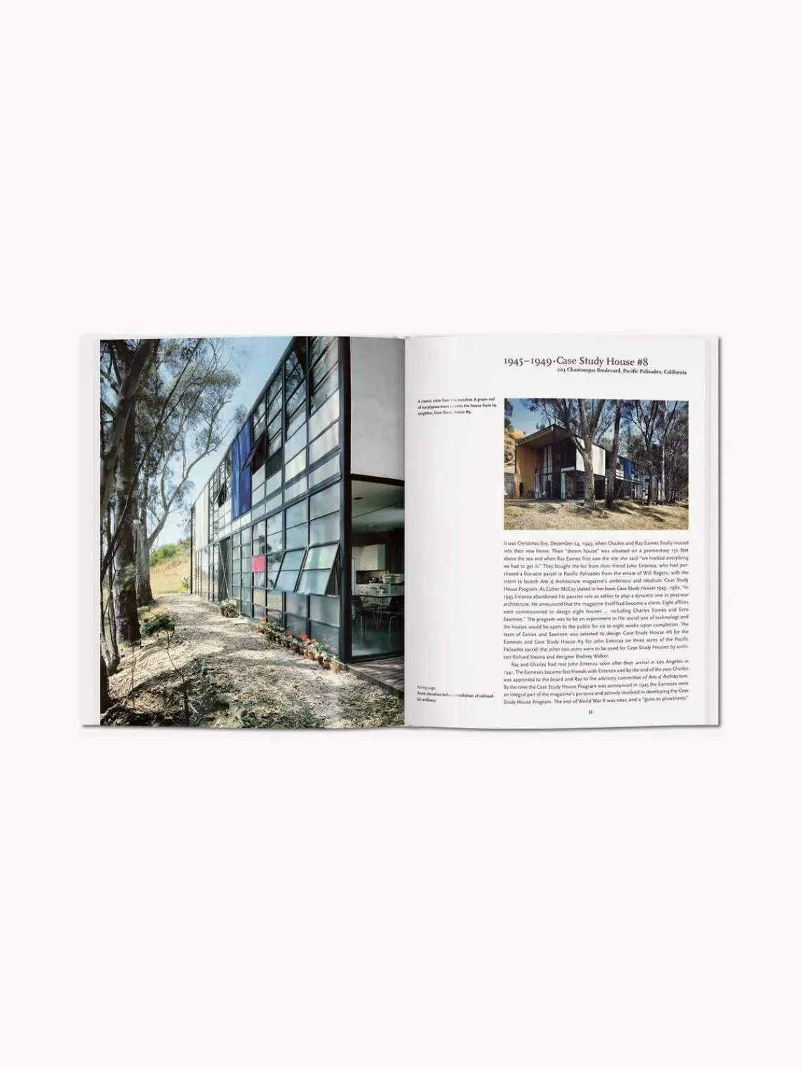 Hot Libro ilustrado Eames Libros Decorativos|Jarrones