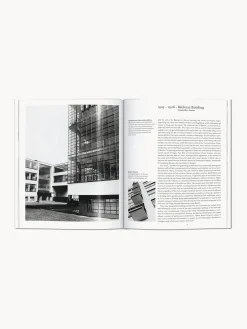 Hot Libro ilustrado Gropius Libros Decorativos|Jarrones