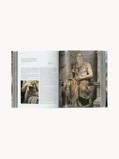Best Libro ilustrado Michelangelo. Complete Works Libros Decorativos|Jarrones