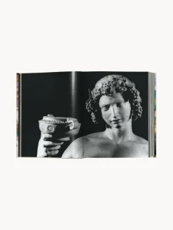 Best Libro ilustrado Michelangelo. Complete Works Libros Decorativos|Jarrones