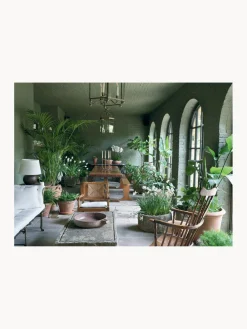 Libros Decorativos|Jarrones><noscript><img width=