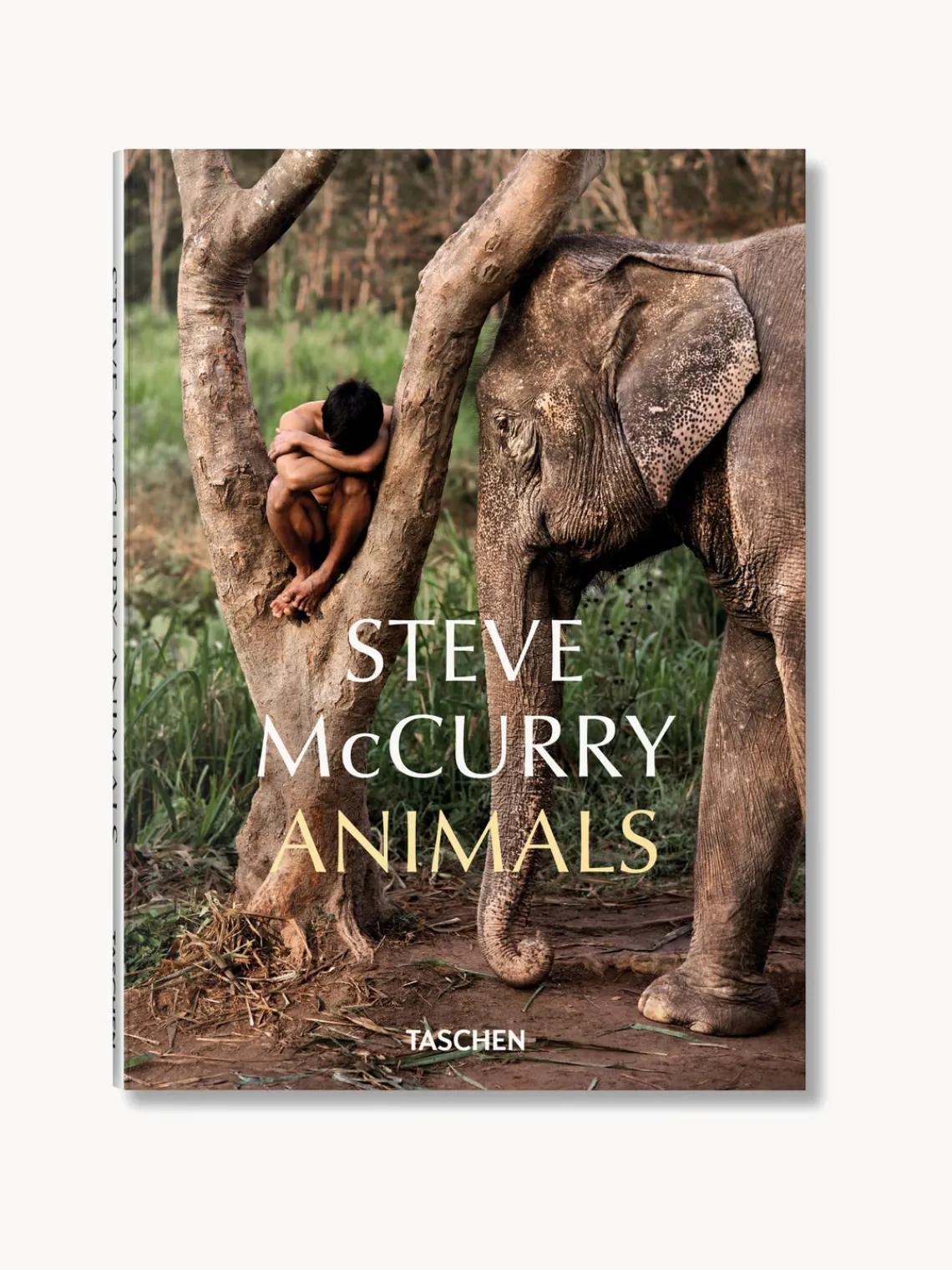 Libros Decorativos|Jarrones>TASCHEN Libro ilustrado Steve McCurry. Animals
