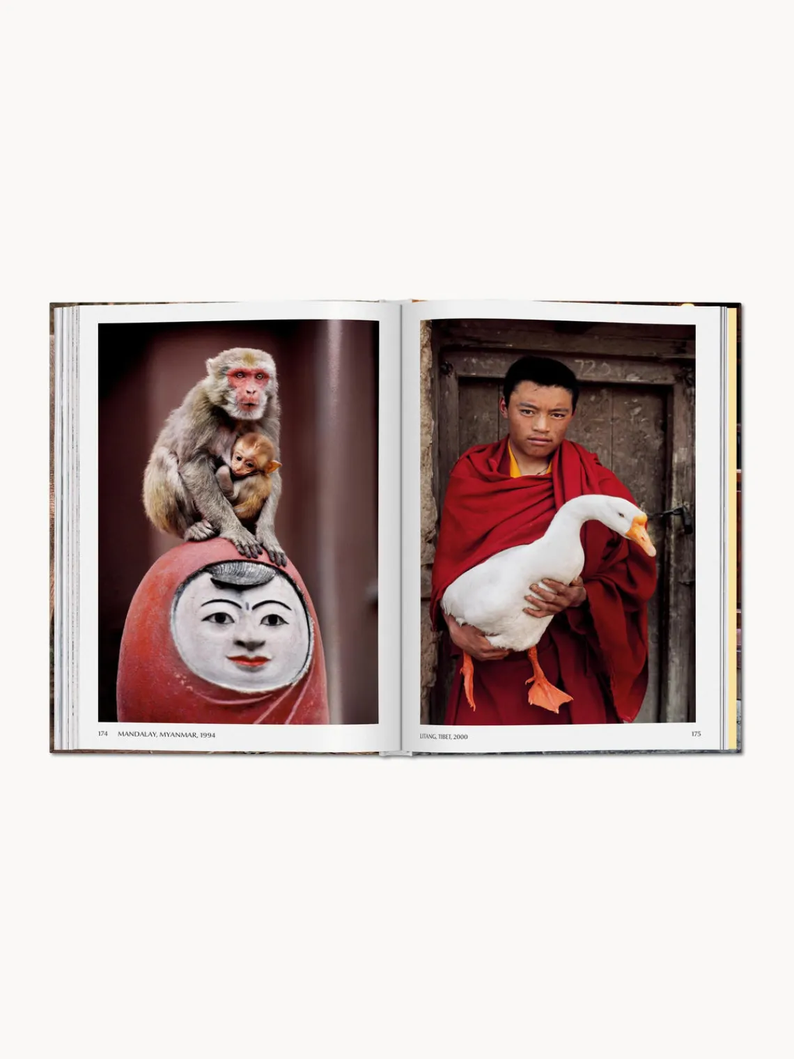 Libros Decorativos|Jarrones>TASCHEN Libro ilustrado Steve McCurry. Animals