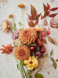 Libros Decorativos|Jarrones></noscript> Libro ilustrado The Artistry of Flowers