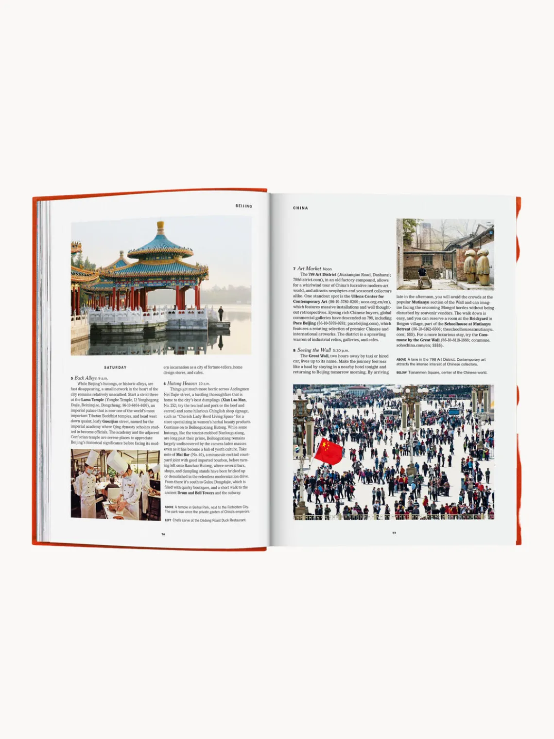 Sale Libro ilustrado Libros Decorativos|Jarrones