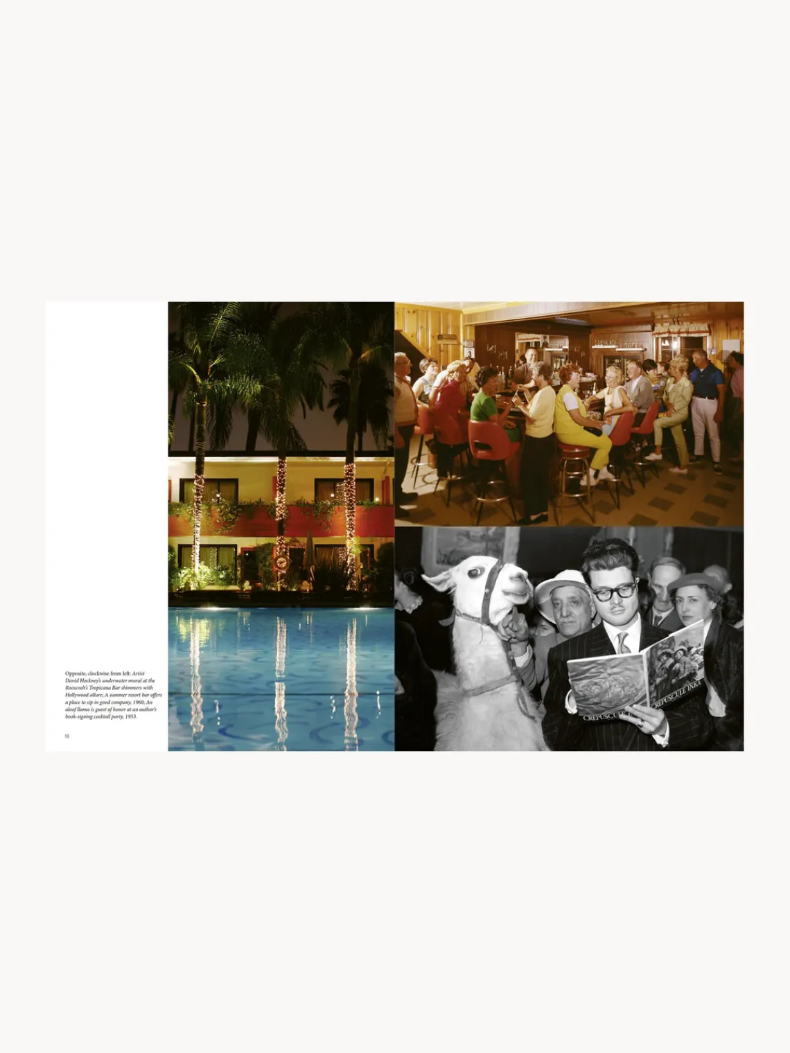 Discount Libro ilustrado Libros Decorativos|Jarrones