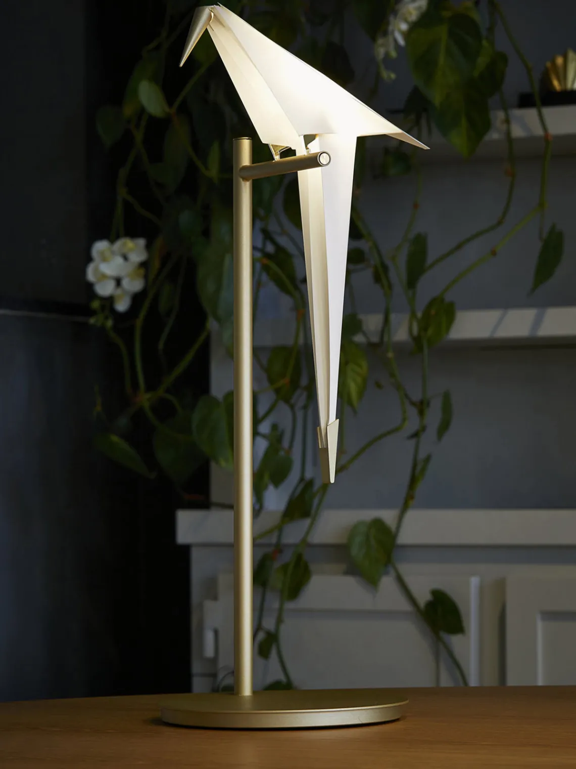 Lámparas De Mesa|Lámparas De Techo>Moooi Lámpara de mesa LED Perch