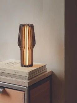 Lámparas De Mesa|Lámparas De Techo>Eva Solo Lámpara de mesa pequeña LED regulable Radiant, portátil Madera de roble, gris antracita pintado