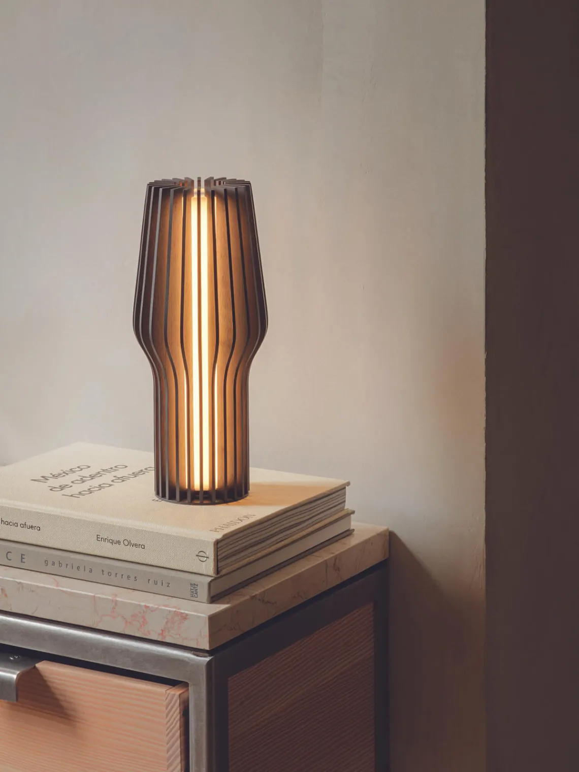 Lámparas De Mesa|Lámparas De Techo>Eva Solo Lámpara de mesa pequeña LED regulable Radiant, portátil Madera de roble, gris antracita pintado