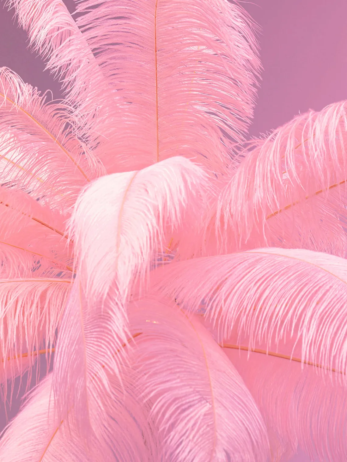 Online Lámpara de pie Feather Palm Lámparas De Pie|Lámparas De Techo