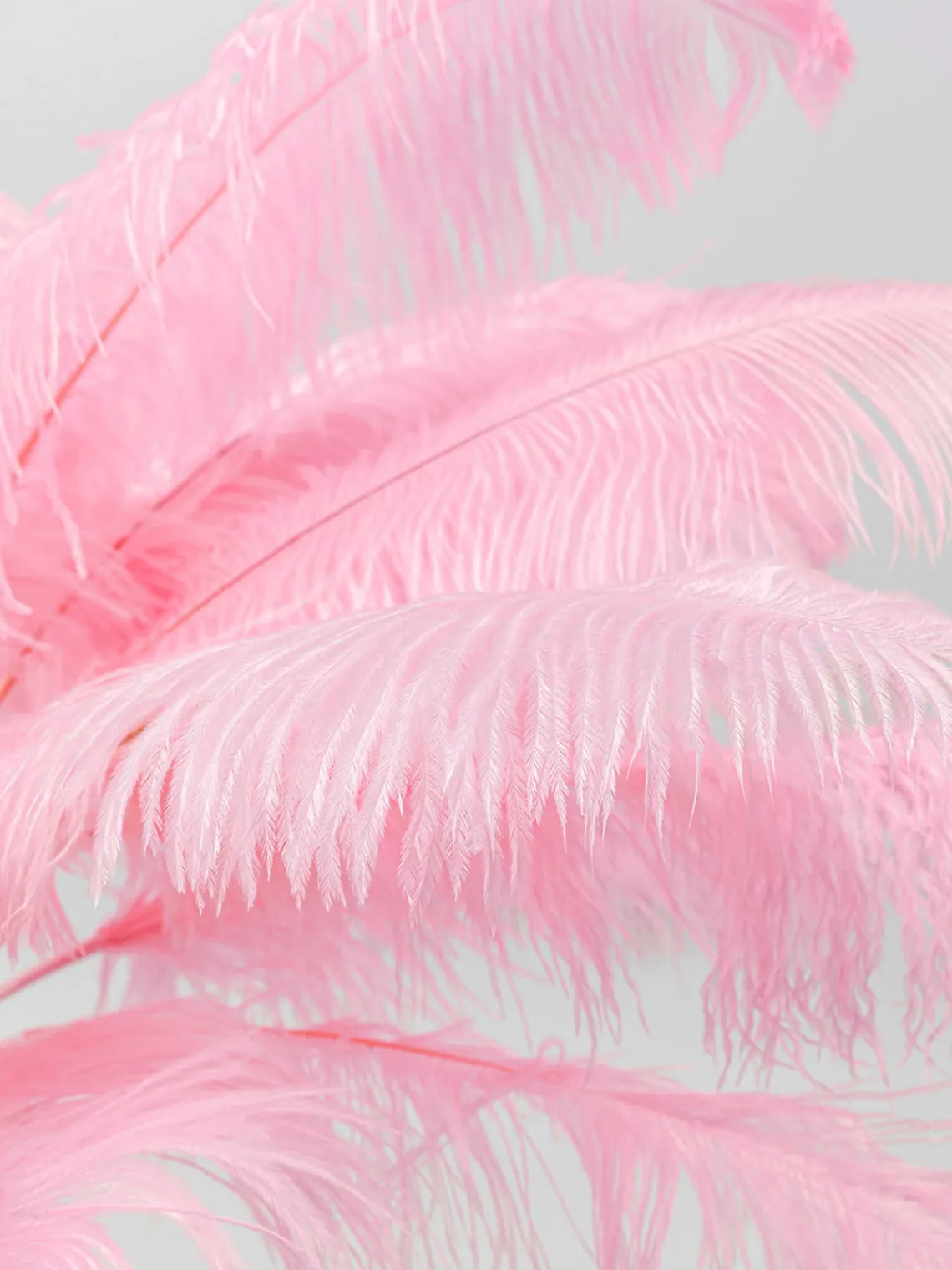 Online Lámpara de pie Feather Palm Lámparas De Pie|Lámparas De Techo