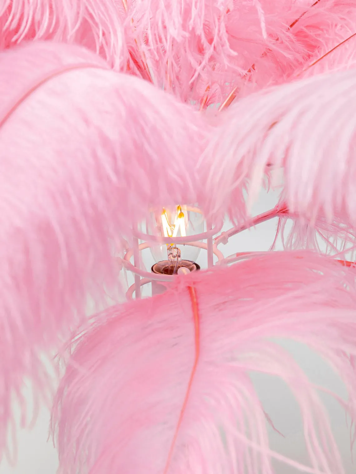 Online Lámpara de pie Feather Palm Lámparas De Pie|Lámparas De Techo