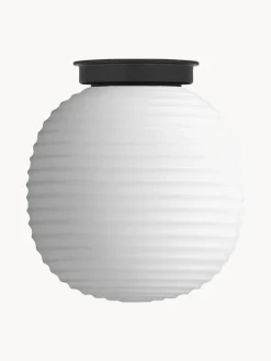 Plafones|Lámparas De Techo>New Works Lámpara de techo de vidrio soplado Lantern, tamaños diferentes