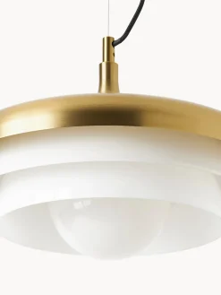 Lámpara de techo Enzo Lámparas De Techo|Lámparas De Techo