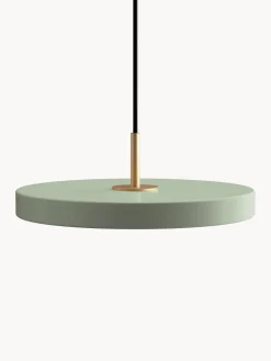 Lámparas De Techo|Lámparas De Techo>UMAGE Lámpara de techo LED Asteria, tamaños diferentes Verde salvia, dorado