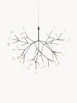Lámparas De Techo|Lámparas De Techo>Moooi Lámpara de techo LED regulable Heracleum III Blanco, gris oscuro