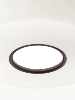 Lámparas De Techo|Lámparas De Techo><noscript><img width=