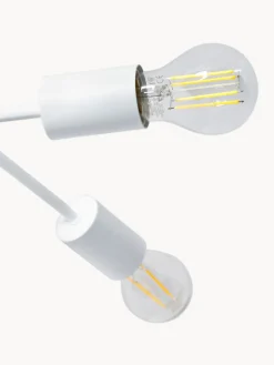 Plafones|Lámparas De Techo><noscript><img width=