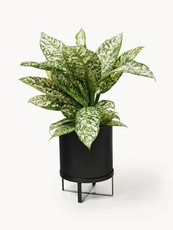 Maceteros|Jarrones></noscript>Ferm Living Maceta con superficie estriada Bau, 38 cm Negro