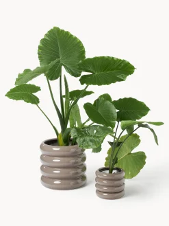 Maceteros|Jarrones></noscript>Westwing Collection Maceta de gres pequeña Rudi, 16 cm Taupe brillante