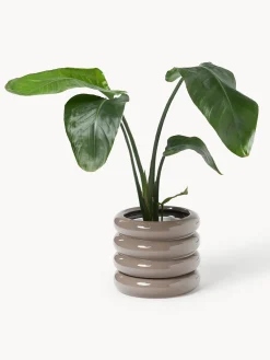 Maceteros|Jarrones></noscript>Westwing Collection Maceta de gres pequeña Rudi, 16 cm Taupe brillante