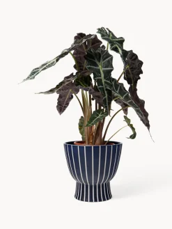 Maceteros|Maceteros De Exterior></noscript>Westwing Collection Macetero artesanal Elio, 23 cm Azul oscuro, blanco crema