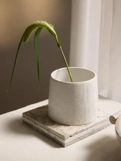 Clearance Macetero Benedita, 13 cm Maceteros|Jarrones