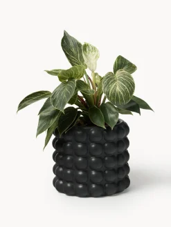 Maceteros|Jarrones></noscript>Westwing Collection Macetero de gres Bob, 18 cm Negro