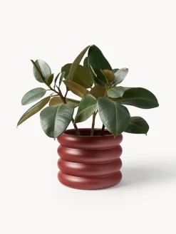 Hot Macetero de gres Rudi, 23 x 10 cm Maceteros|Jarrones