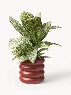 New Macetero de gres Rudi, 30 x 9 cm Maceteros|Jarrones