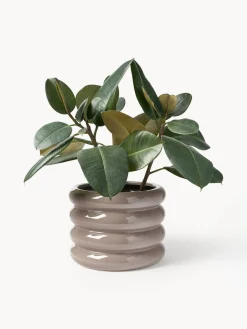 Maceteros|Jarrones></noscript>Westwing Collection Macetero de gres Rudi, 23 x 2 cm Taupe