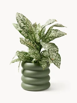 Online Macetero de gres Rudi, 30 x 6 cm Maceteros|Jarrones