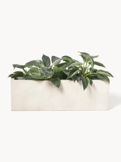 Maceteros|Maceteros De Exterior><noscript><img width=