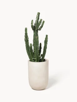 Sale Macetero de hormigón Tuscany, 49 cm Maceteros|Jarrones