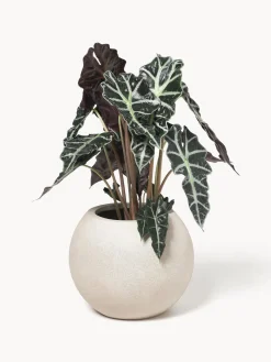 Maceteros|Jarrones><noscript><img width=