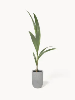 Discount Macetero de hormigón Tuscany, 34 cm Maceteros|Maceteros De Exterior