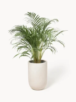 Jarrones|Maceteros De Exterior></noscript>Westwing Collection Macetero de hormigón Tuscany, 40 cm Beige claro