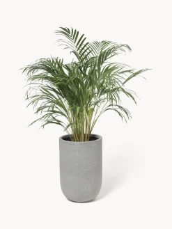 Maceteros|Jarrones><noscript><img width=