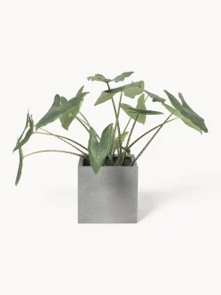 Maceteros|Jarrones></noscript>Westwing Collection Macetero de hormigón Tuscany, 40 cm Gris