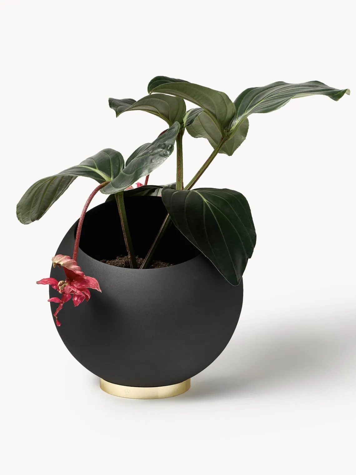 Maceteros|Jarrones>AYTM Macetero de metal Globe Negro