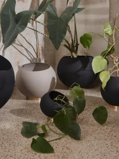 Maceteros|Jarrones><noscript><img width=