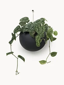 Macetero de metal para colgar Globe Maceteros|Jarrones