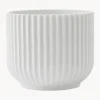 Maceteros|Jarrones>Lyngby Porcelaen Macetero de porcelana Lyngby, 13 cm