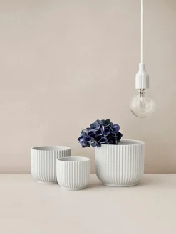 Maceteros|Jarrones>Lyngby Porcelaen Macetero de porcelana Lyngby, 16 cm