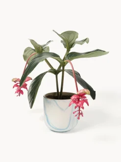 Maceteros|Jarrones><noscript><img width=