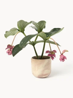 Hot Macetero en look mármol Kiko, 17 cm Maceteros|Jarrones