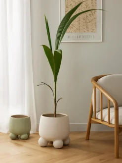 Maceteros|Jarrones>Westwing Collection Macetero grande de dolomita Olea, Al 32 cm Blanco Off White mate