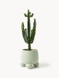 Maceteros|Jarrones><noscript><img width=