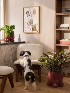 Maceteros|Jarrones>Westwing Collection Macetero grande de dolomita Olea, 32 cm Rojo óxido brillante