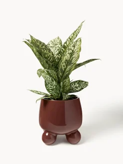 Maceteros|Jarrones></noscript>Westwing Collection Macetero grande de dolomita Olea, 32 cm Rojo óxido brillante